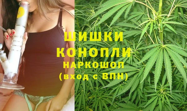 mix Пересвет