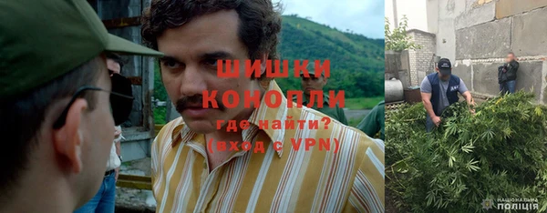 mix Пересвет